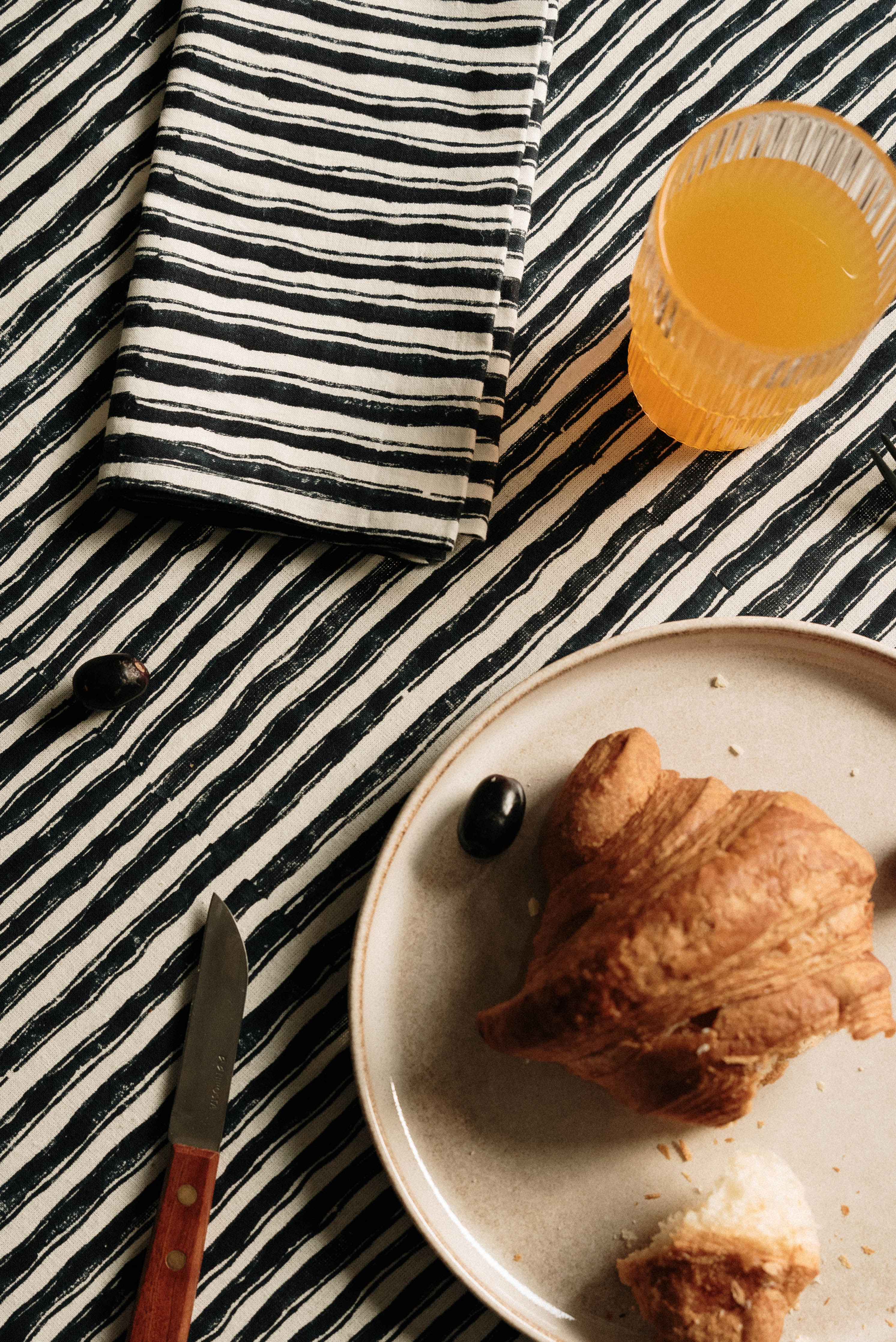 Solae Blockprinted Napkin Set
