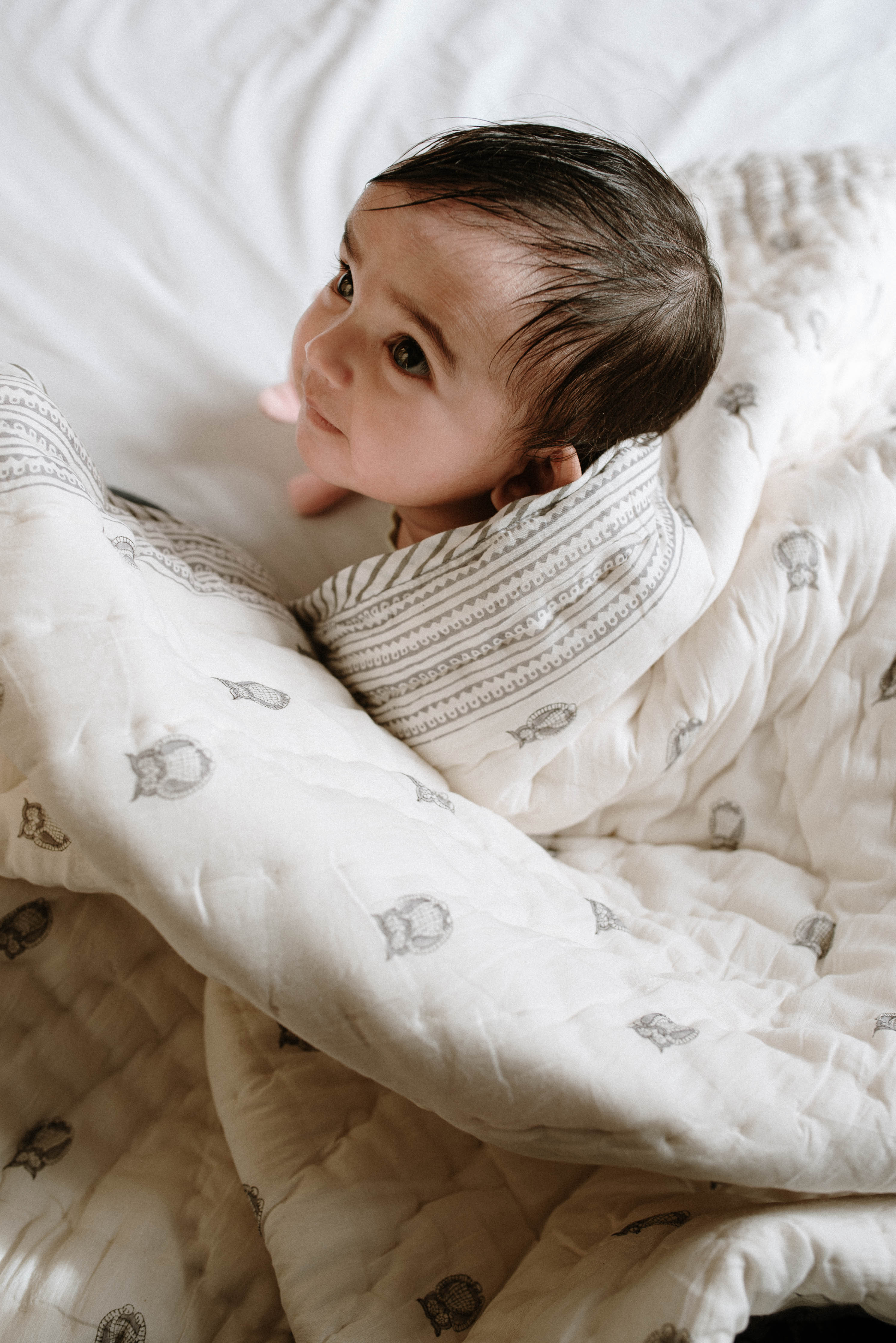 Owl Block Printed Baby Quilt