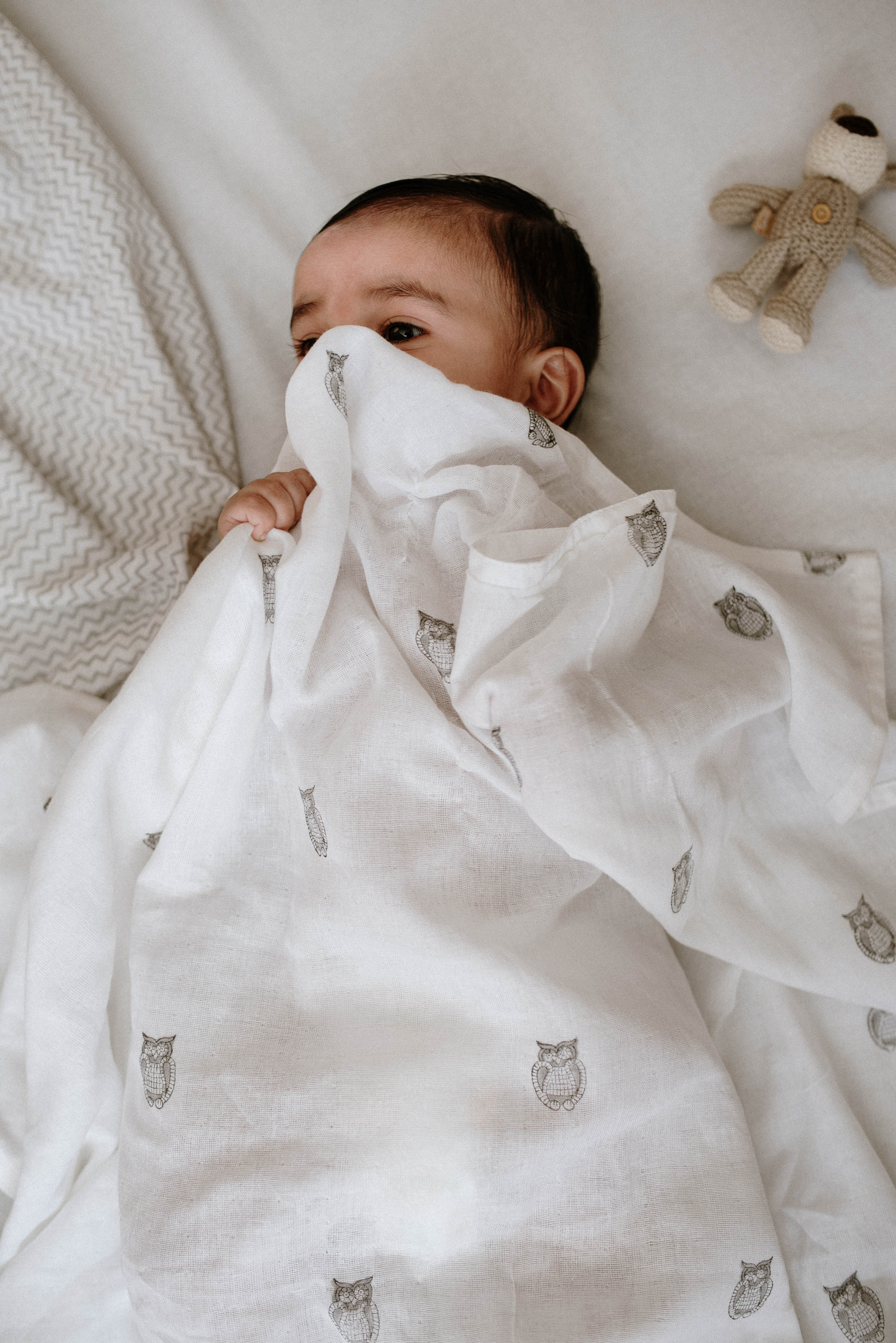 Owl Muslin Swaddle Set