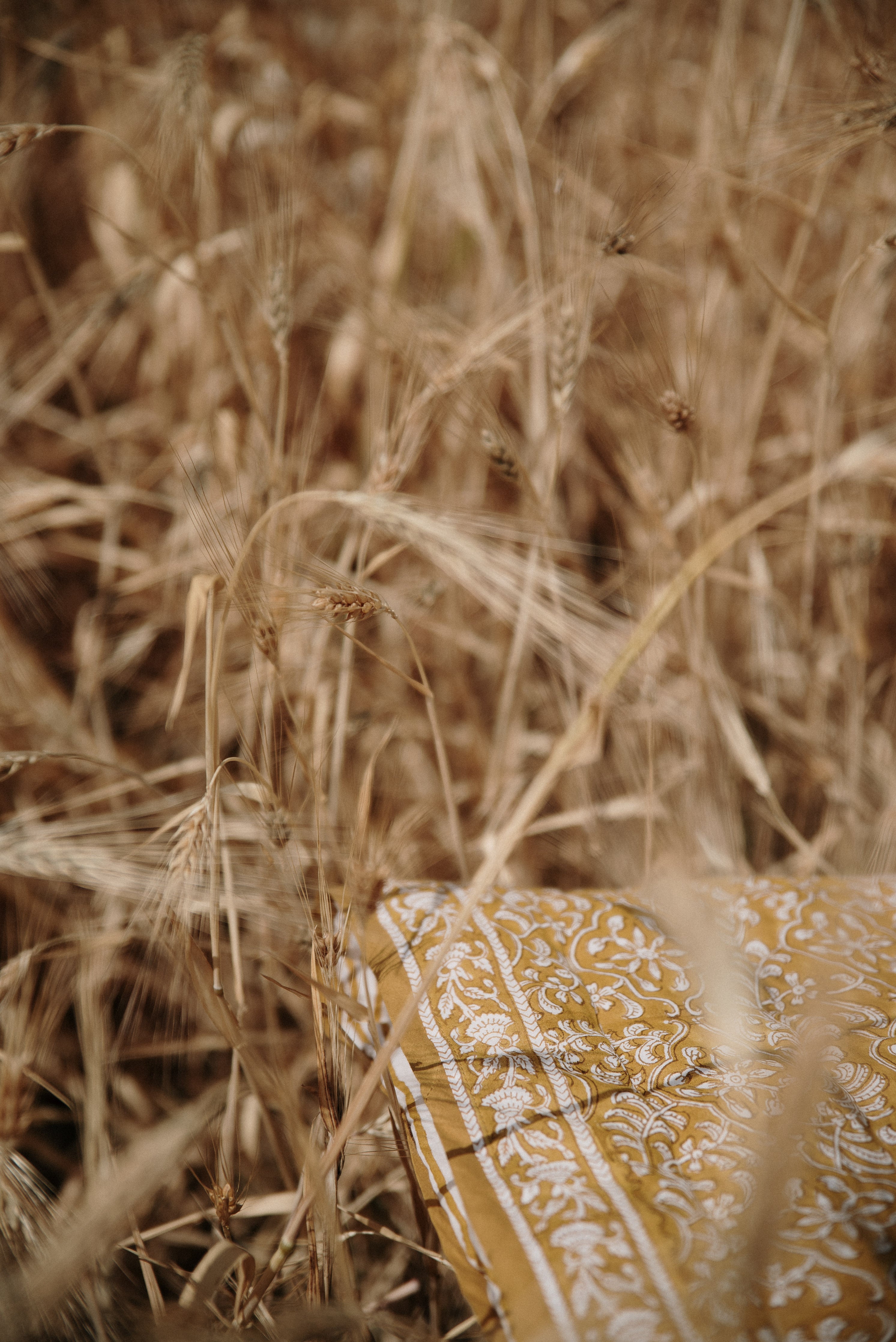 Zaal Block Printed Quilt